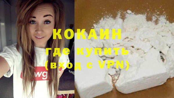 сатива Верея