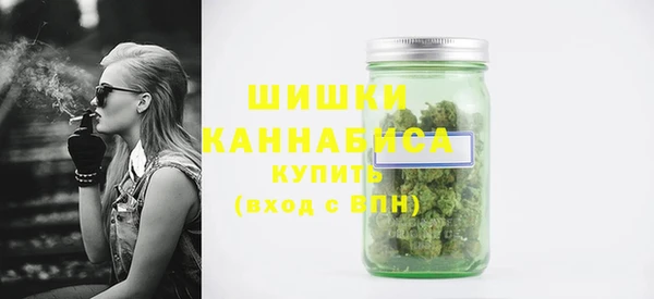 сатива Верея