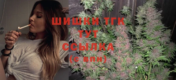 сатива Верея