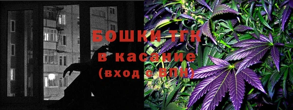 стафф Верхний Тагил