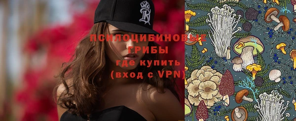 стафф Верхний Тагил