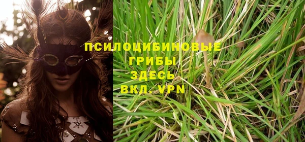 стафф Верхний Тагил